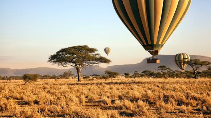 Serengeti hot air balloon safari