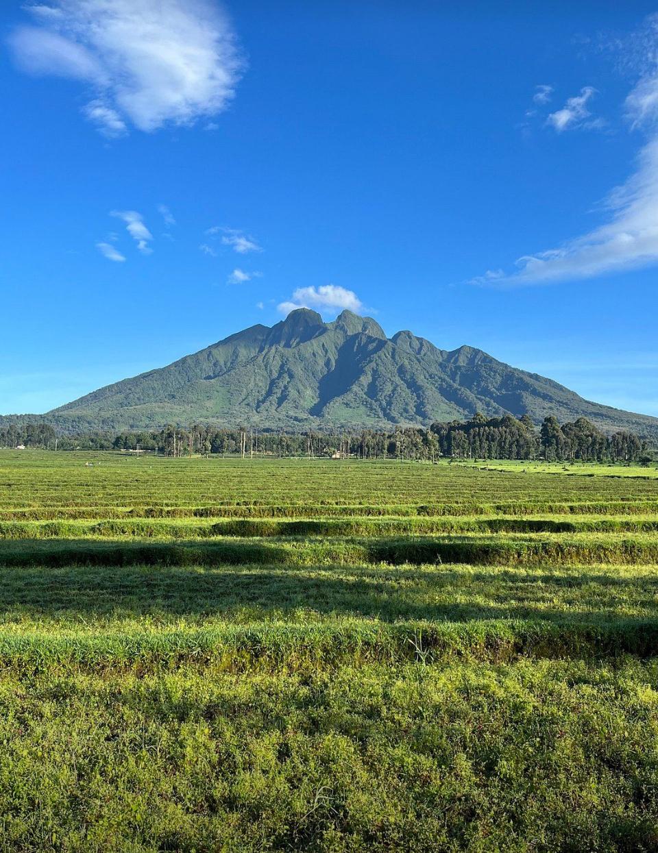 Volcano hiking in Rwanda
